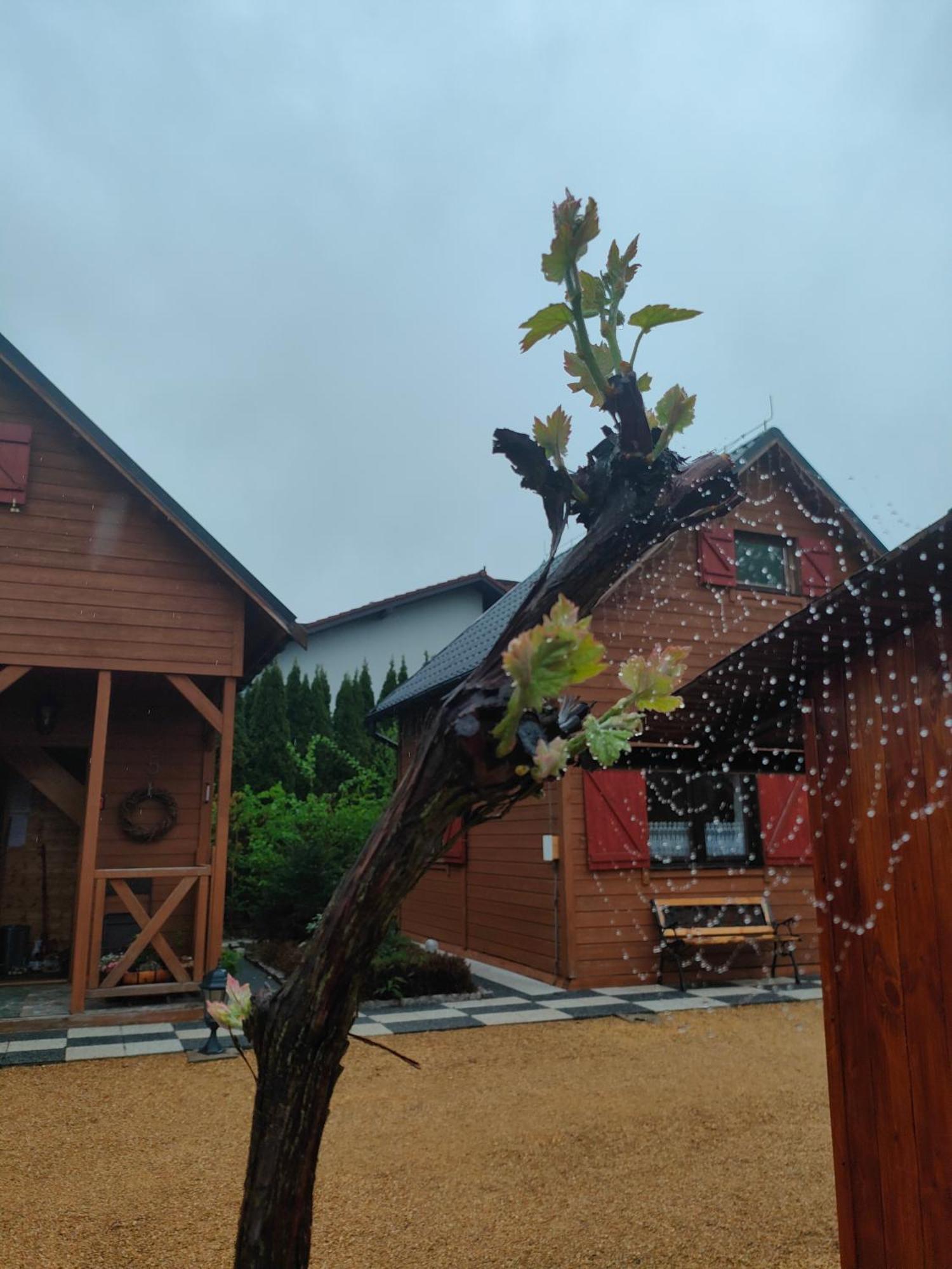 Domki Na Winnicy Zator Przeciszów Exterior foto